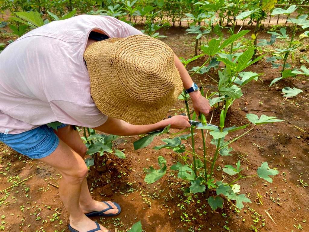 Moni Farm House Wilpattu Nochchiyagama 外观 照片