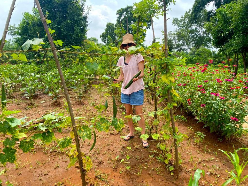 Moni Farm House Wilpattu Nochchiyagama 外观 照片