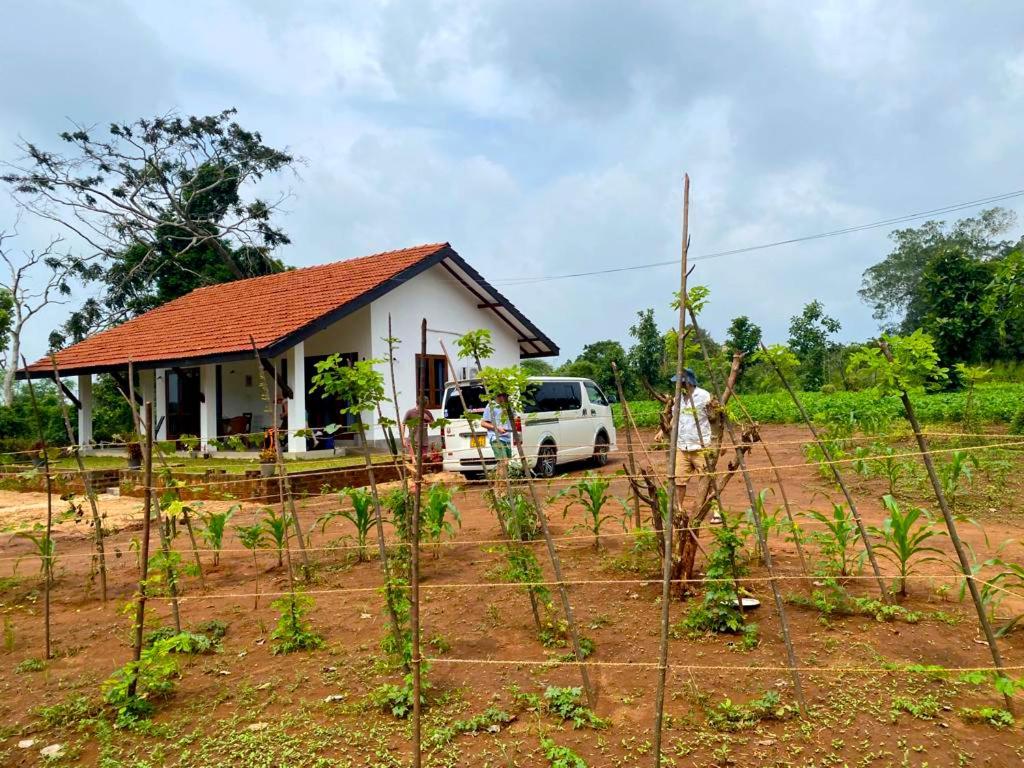 Moni Farm House Wilpattu Nochchiyagama 外观 照片