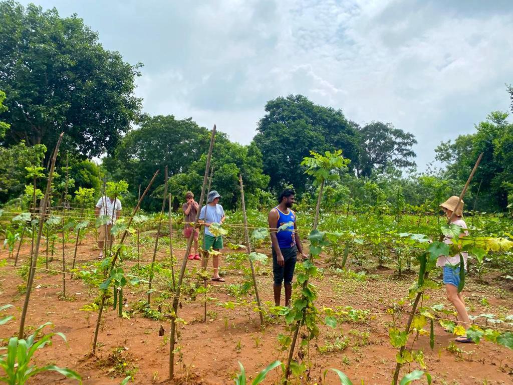 Moni Farm House Wilpattu Nochchiyagama 外观 照片