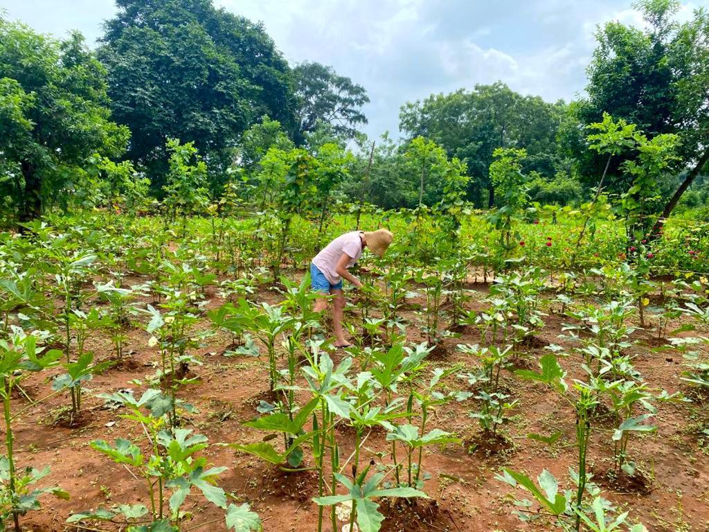 Moni Farm House Wilpattu Nochchiyagama 外观 照片