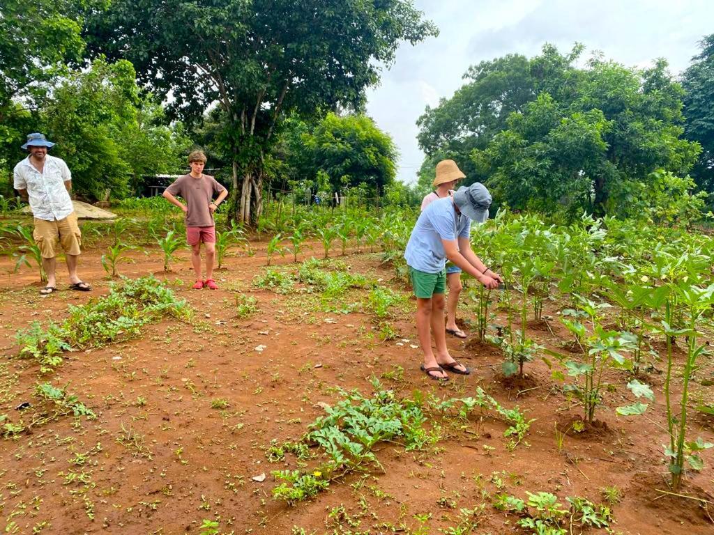 Moni Farm House Wilpattu Nochchiyagama 外观 照片