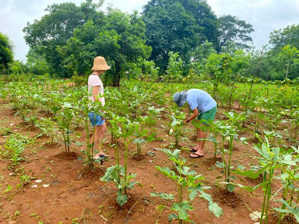 Moni Farm House Wilpattu Nochchiyagama 外观 照片