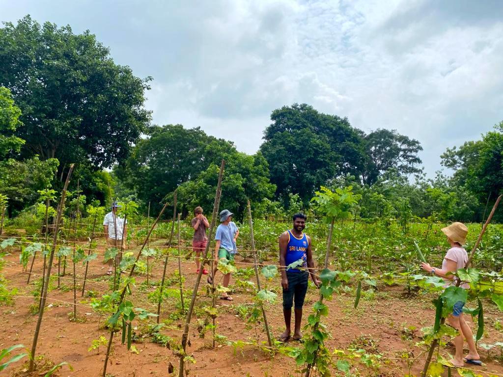 Moni Farm House Wilpattu Nochchiyagama 外观 照片