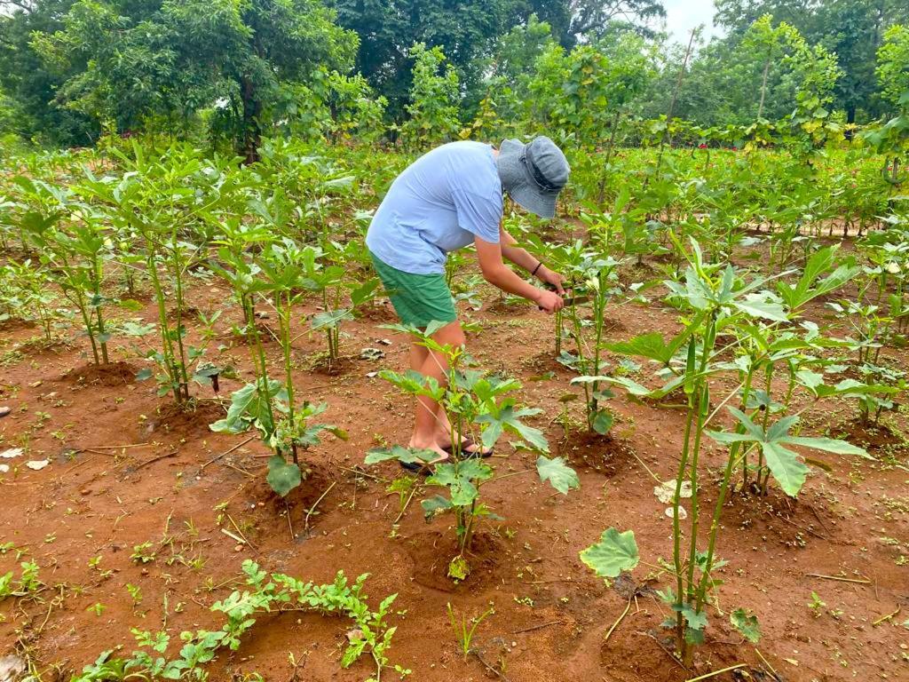 Moni Farm House Wilpattu Nochchiyagama 外观 照片