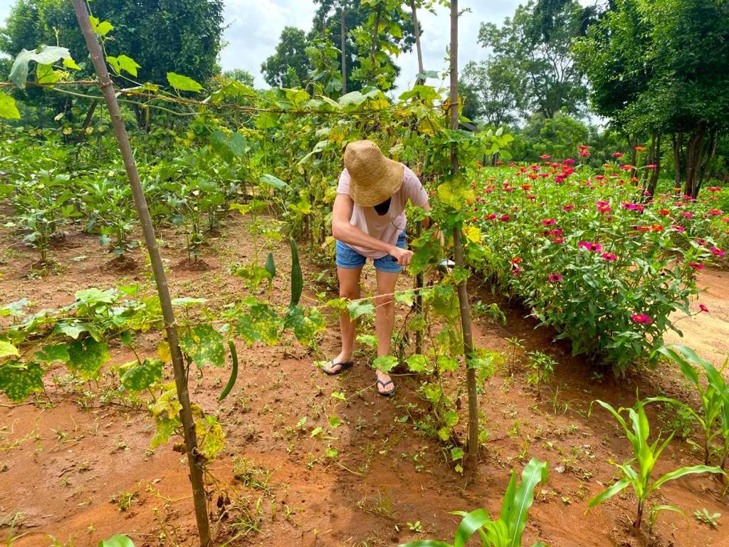Moni Farm House Wilpattu Nochchiyagama 外观 照片