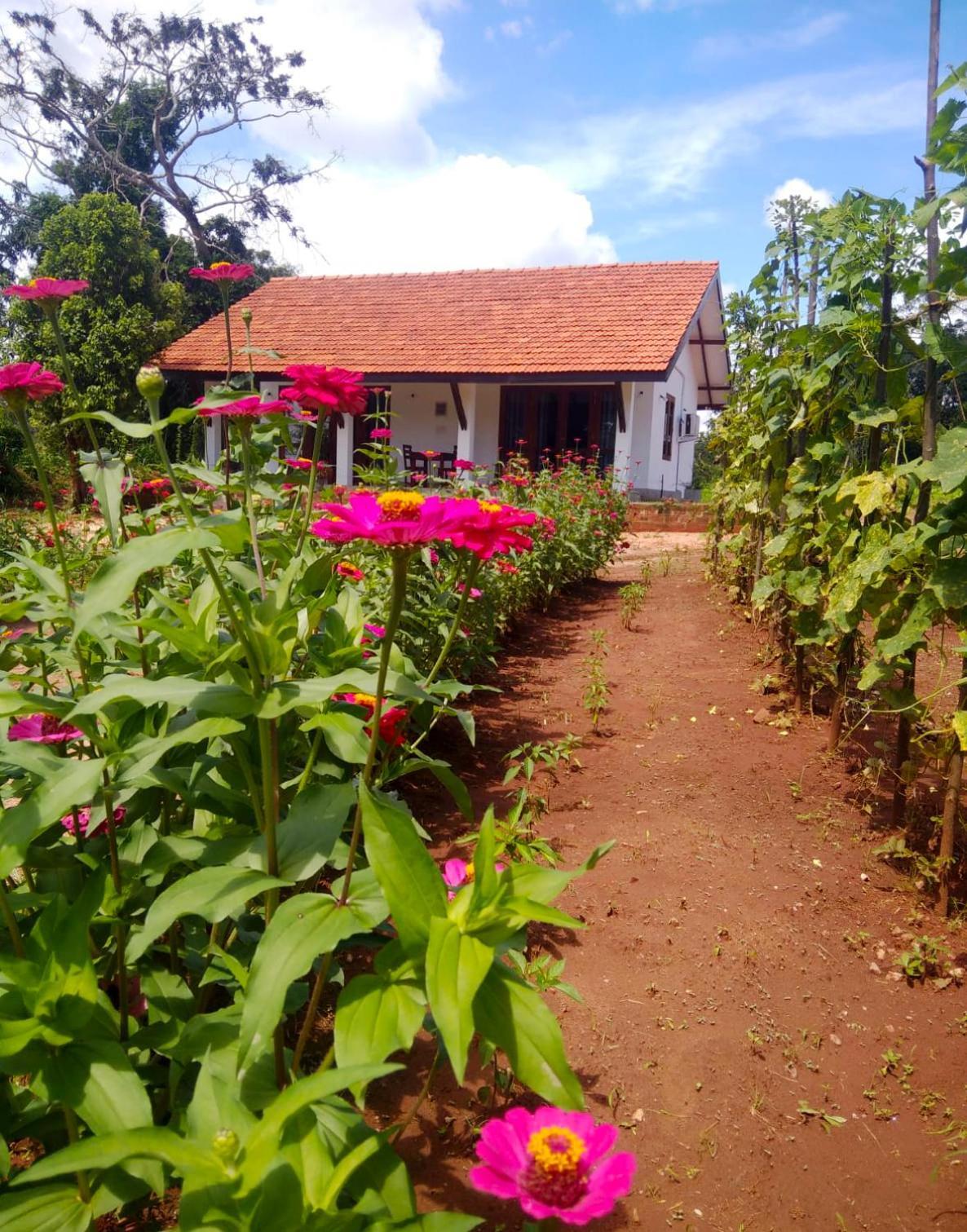 Nochchiyagama Moni Farm House Wilpattu酒店 外观 照片