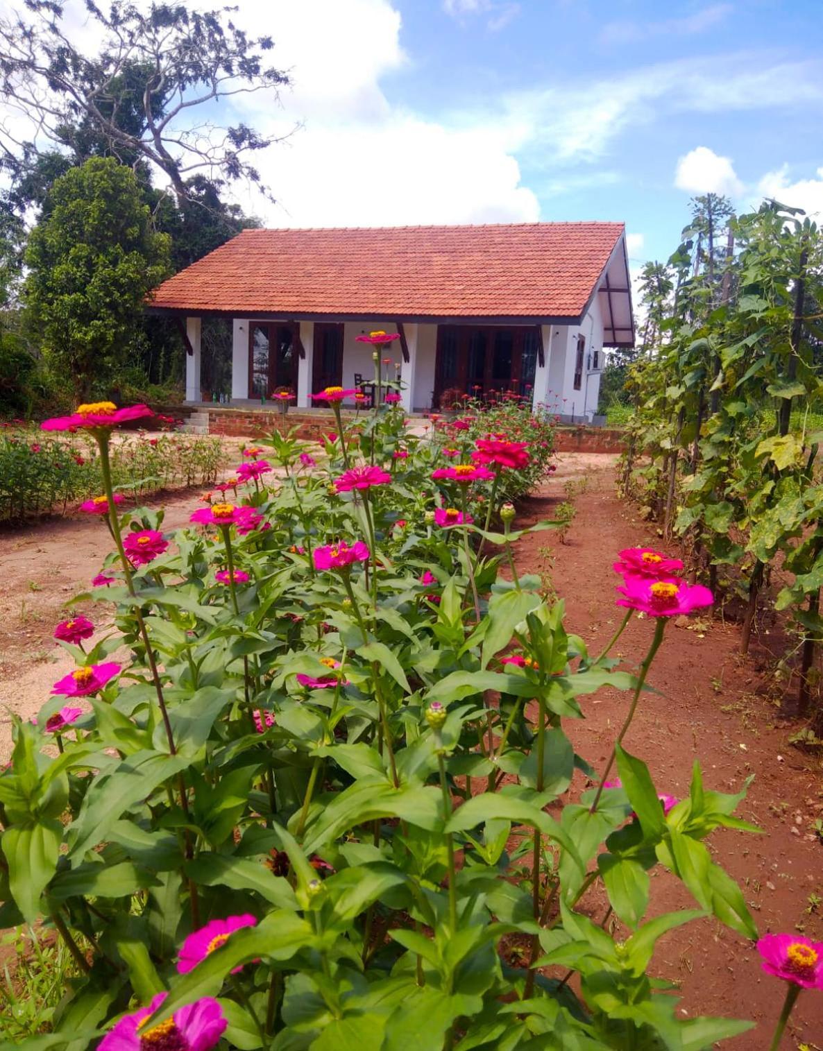 Moni Farm House Wilpattu Nochchiyagama 外观 照片