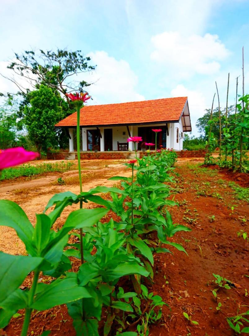Moni Farm House Wilpattu Nochchiyagama 外观 照片
