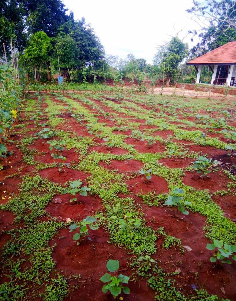 Moni Farm House Wilpattu Nochchiyagama 外观 照片