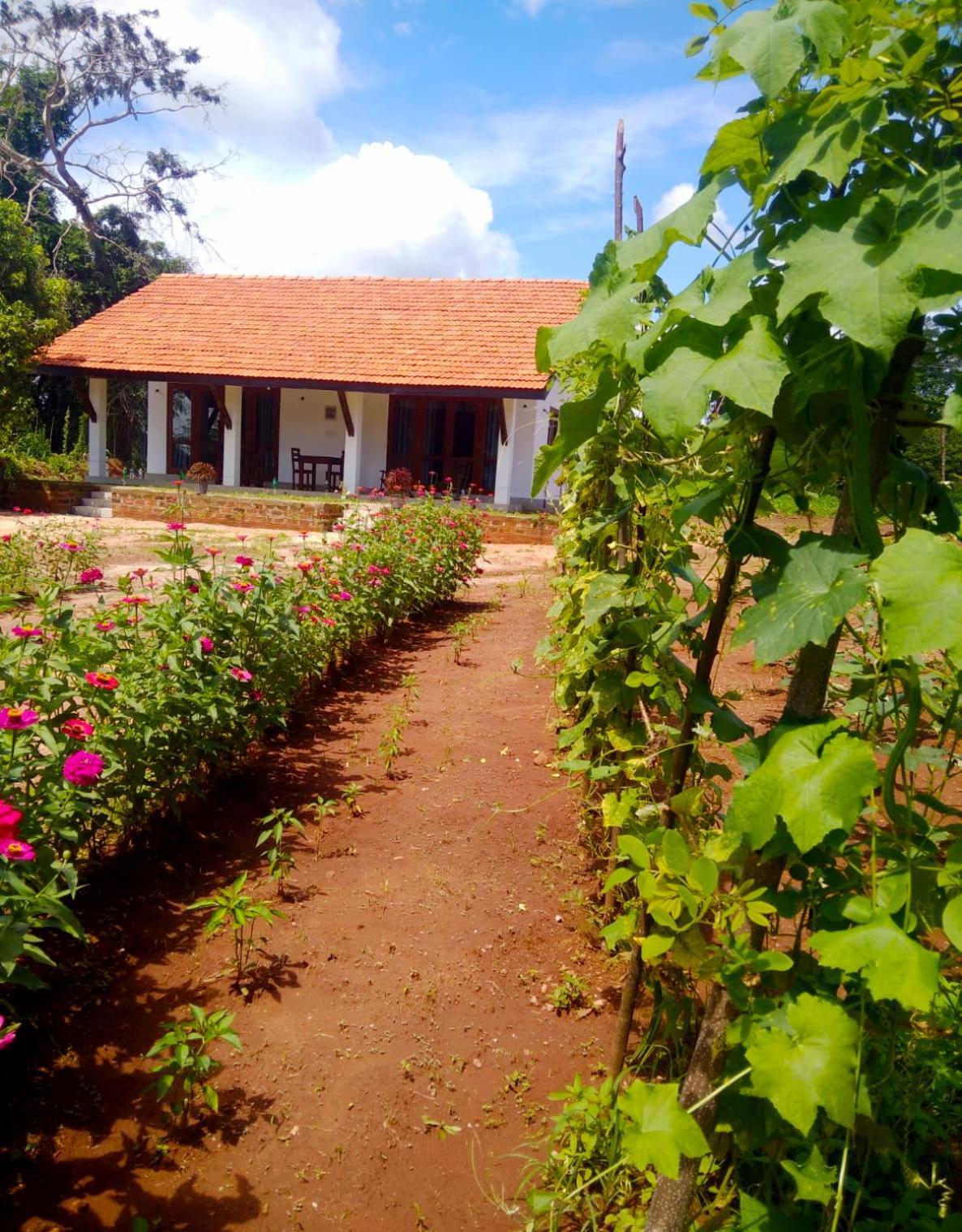 Moni Farm House Wilpattu Nochchiyagama 外观 照片