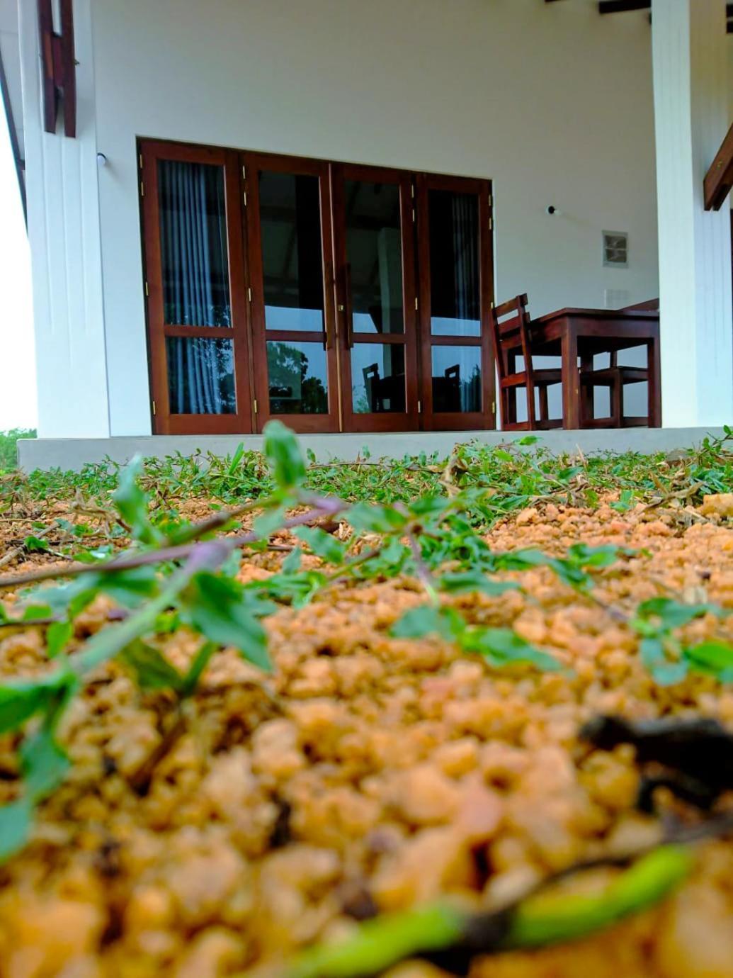 Moni Farm House Wilpattu Nochchiyagama 外观 照片