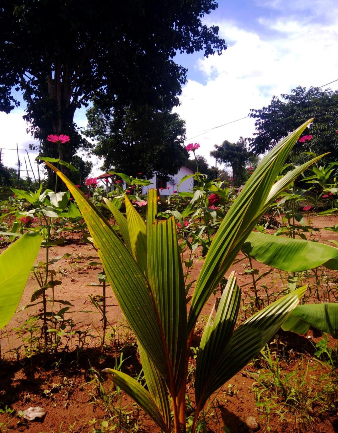 Moni Farm House Wilpattu Nochchiyagama 外观 照片